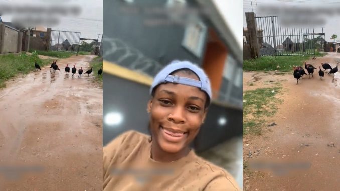 "Why you chop their number one" – Reaction as a group of Turkeys blocks the way of a lady and attempts to chase her (VIDEO)