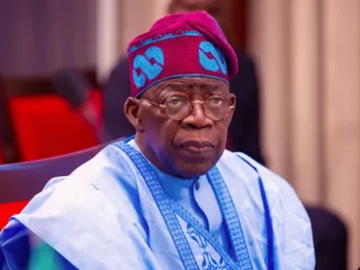 Automotive Manufacturers Visit Tinubu