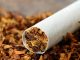 Championing Tobacco Harm Reduction 