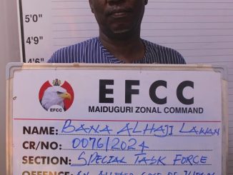 Court Jails Fake BDC Operator In Borno