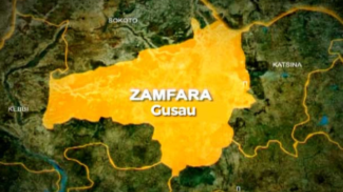 Death Toll in Zamfara's Mysterious Disease Rises To 13