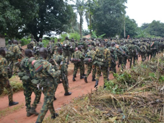 How To Apply For Nigerian Army's Non-Tradesmen, Women: A Step-by-Step Guide  