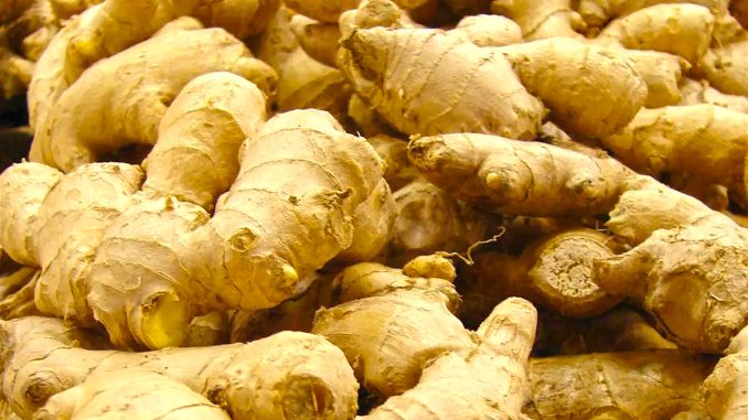 NADF To Support 5000 Ginger Farmers In Kaduna