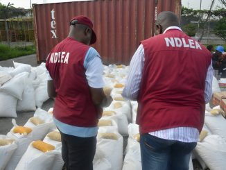 NDLEA Intercepts Multi-billion Naira Consignments Of Opioids, Codeine