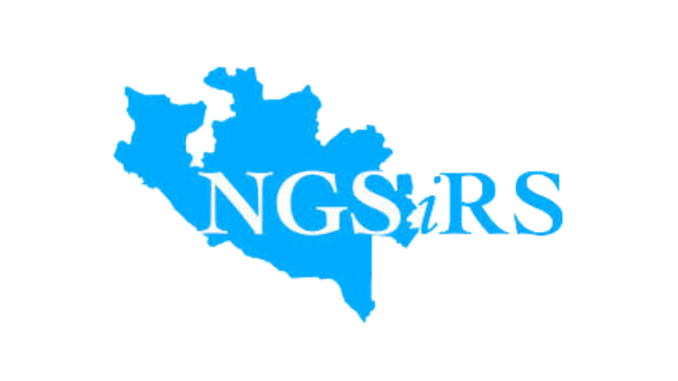 Niger Records 170% Increase In Revenue Generation