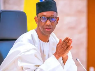 Nuhu Ribadu, National Security Adviser