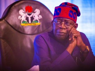 Tinubu Appoints Minister As Co-Chairman Of NCDMB Council
