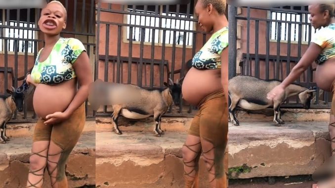 Woman's Joyful Reaction To Discovering She And Her Goat Are Pregnant With The Same Gender Sparks Buzz Online (WATCH)