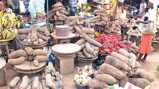 Young Nigerians Embrace Farming In FCT As High Food Prices Persist