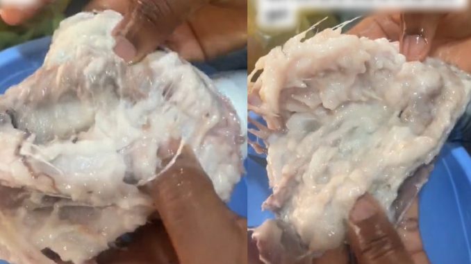 Lady shares what became of the Titus fish she bought at the market after defrosting (VIDEO)