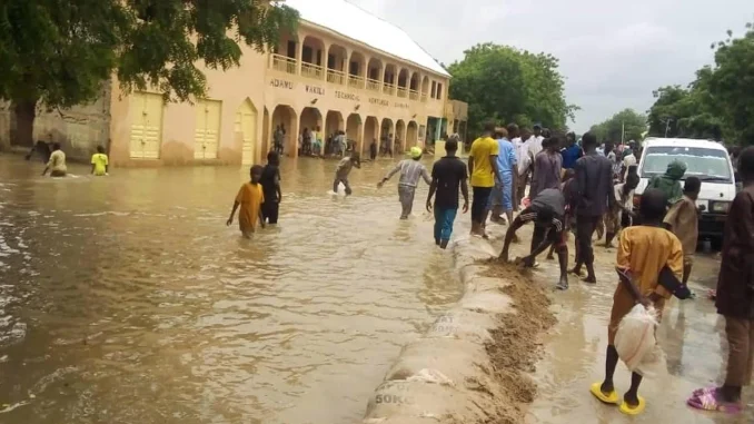 Commissioner Cautions Kano Residents On Rainwater