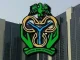 Experts Laud New CBN Policy On Diaspora Remittances, Urge Close Monitoring Of IMTOs