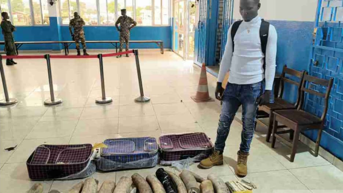 Illegal Ivory Smuggling In CAR