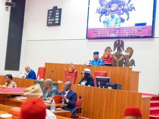 Amid N30trn Probe, Senate Amends CBN Act To Increase Overdraft Loans To Federal Gov't