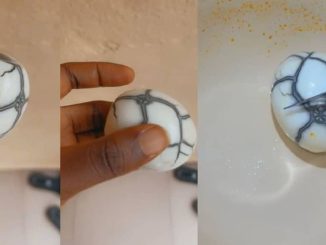 "You don go buy dragon egg" – Netizens React As Lady Reveals The Unique Egg She Bought (VIDEO)