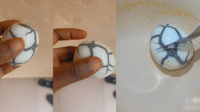 "You don go buy dragon egg" – Netizens React As Lady Reveals The Unique Egg She Bought (VIDEO)