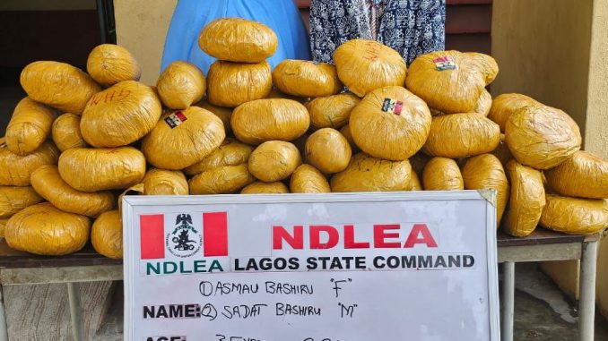 NDLEA Intercepts N14.9bn Opioids From Lagos Raids