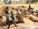 Bauchi Govt To Crack Down On Illegal Mining