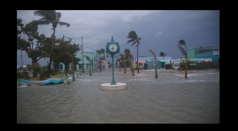 Death toll rises to 37 after hurricane Helene hits Florida