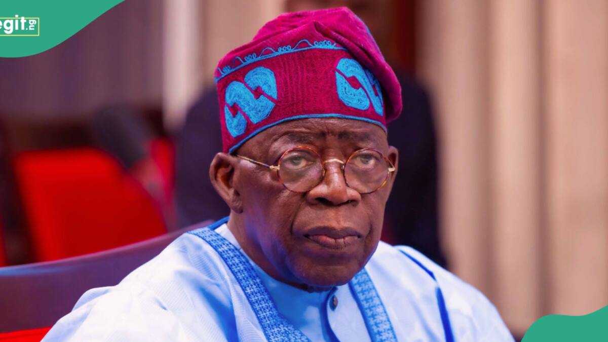 “Job For The Boys”: NNPP Chieftain Plays Down Tinubu’s Planned Cabinet Reshuffle