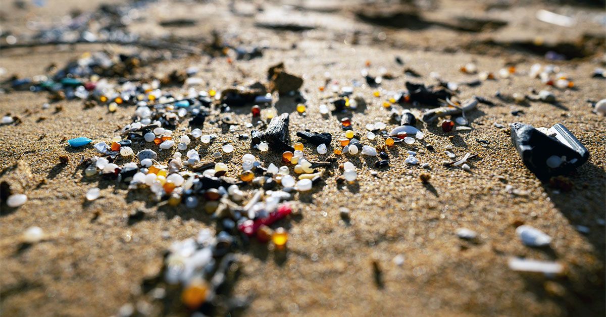 Microplastics found in the brain: Should we be concerned?