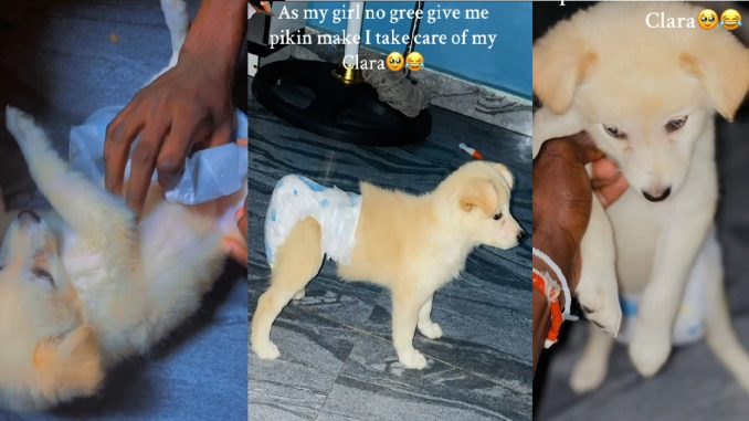 Nigerian Coddles His Puppy After His Girlfriend Refused To Get Pregnant For Him (VIDEO)