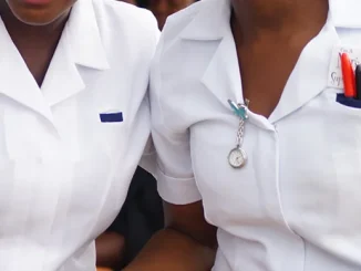 Nigerian Nurses Urged To Utilise International Programmes