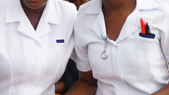 Nigerian Nurses Urged To Utilise International Programmes