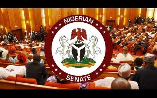 Failure Of Intelligence Led To Suicide Bombing In Borno - Senate