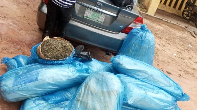 Police Arrest Suspect With 15 Bags Of Marijuana In Nasarawa