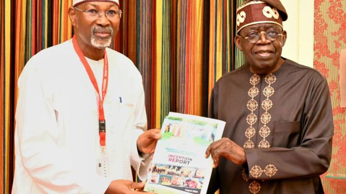 Tinubu Inches To Cabinet Reshuffle As Livestock Reforms C'ttee Submits 152-page Report