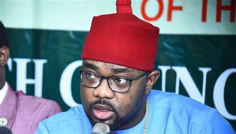 Ugochinyere Denies Bribing Speaker To Chair House Committee