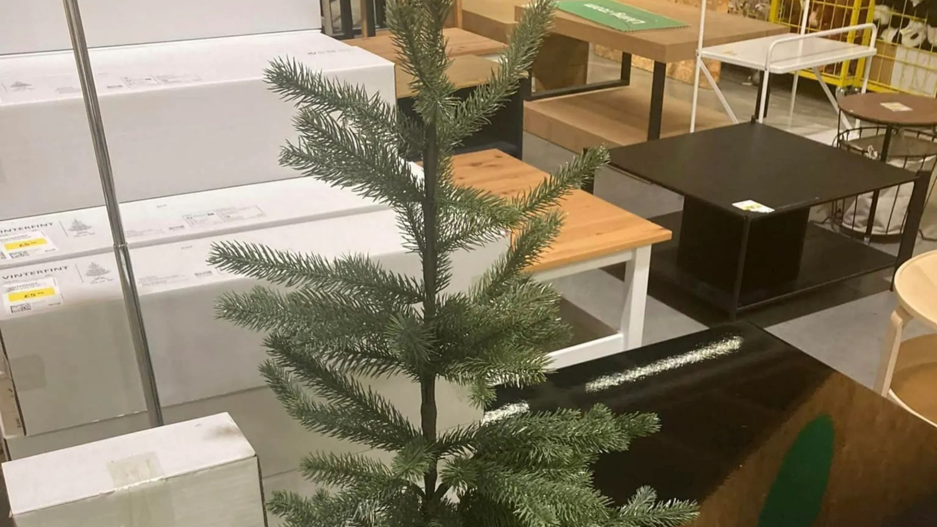 Bargain hunters rave as Ikea's budget Christmas tree is now even cheaper at £5 - but people cry it's the 'saddest ever'