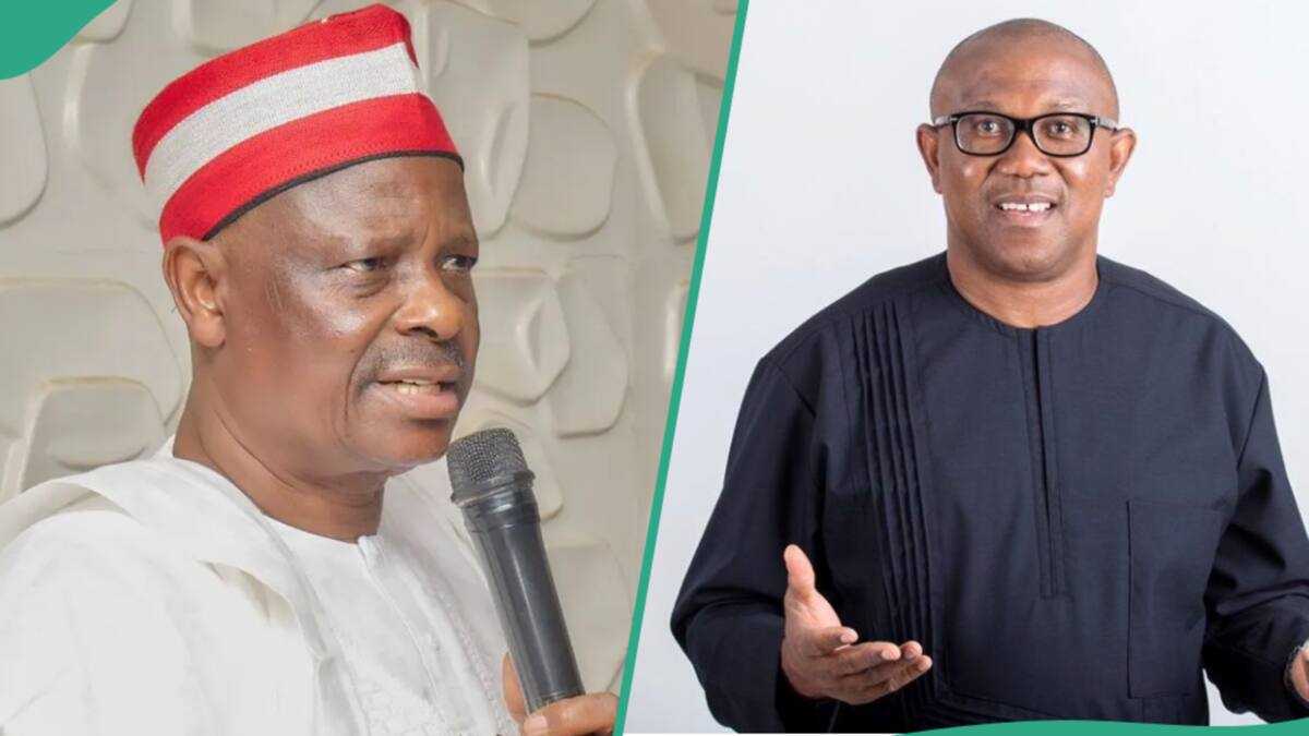 2027: APC Rubbishes Obi, Kwankwaso Alliance Poposal, Gives 4 Reasons Why it Will Fail