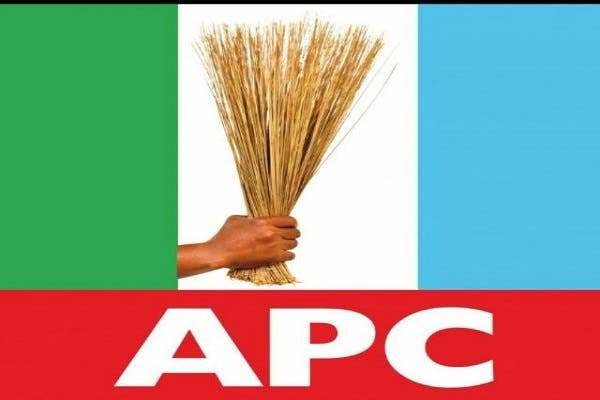 APC Anambra queries Tinubu Bianca's ministerial appointment.