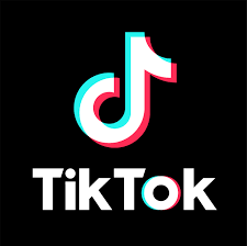 After Tik Tok deleted over 2,000 scammers, Meta flushes out 1,600