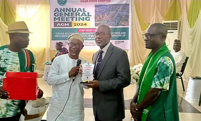 Consult professionals before building, Ogun advises property owners