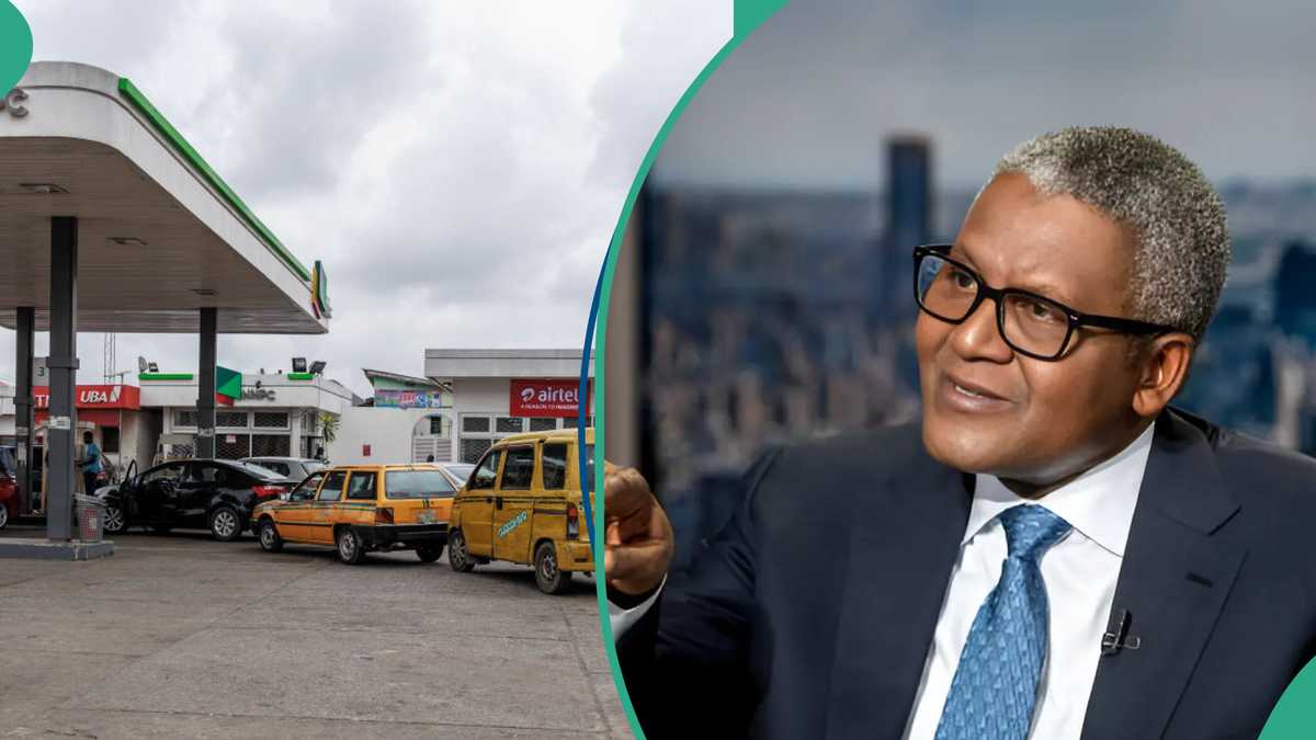 Dangote Gives Reasons NNPC, Marketers Should Stop Fuel Importation After Meeting With Tinubu