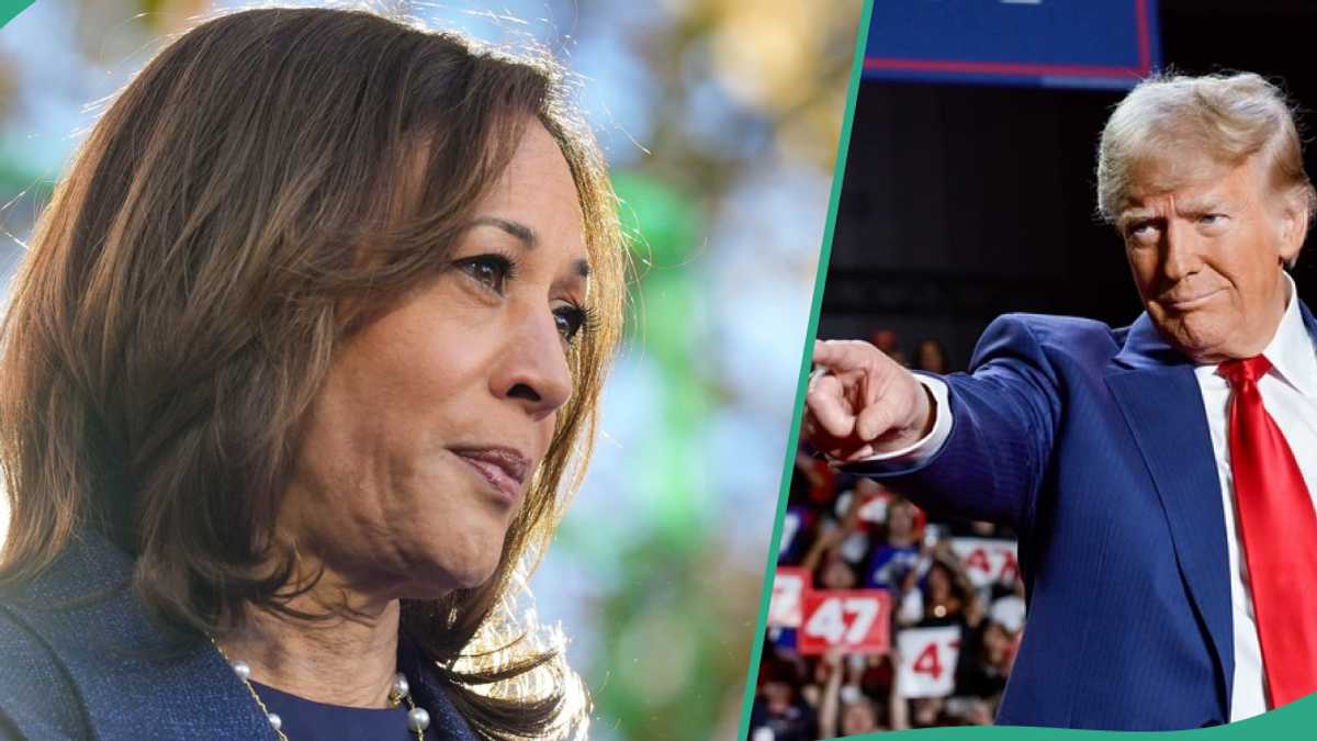 Donald Trump vs Harris: Final Poll Shows How Candidates are Fairing as Voting Continues in US