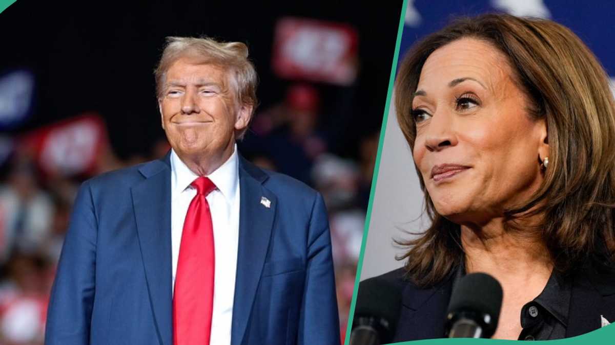 Donald Trump vs Harris: New Poll Shows Who is Leading as Early Voting Records Smashed in US