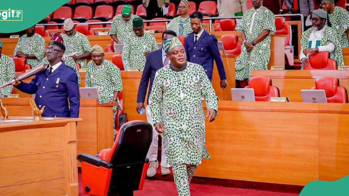 "Don't Be Ignorant Of The Law": Lagos Assembly Hits Back At Suspended Chairman, Lawyer