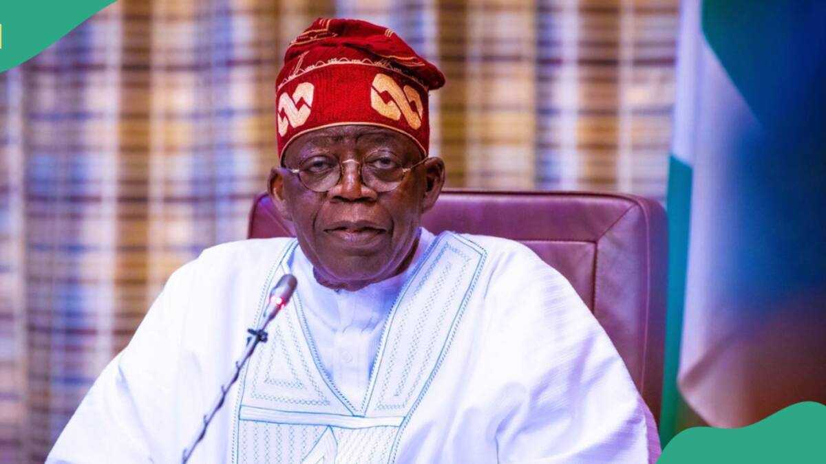 FULL LIST: Lifelong PDP members who could support Tinubu for president in 2027