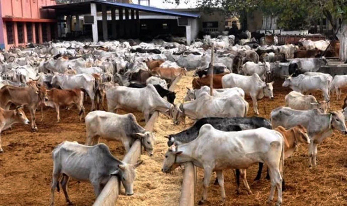 Federal Gov't To Establish 2 New Animal Gene Banks