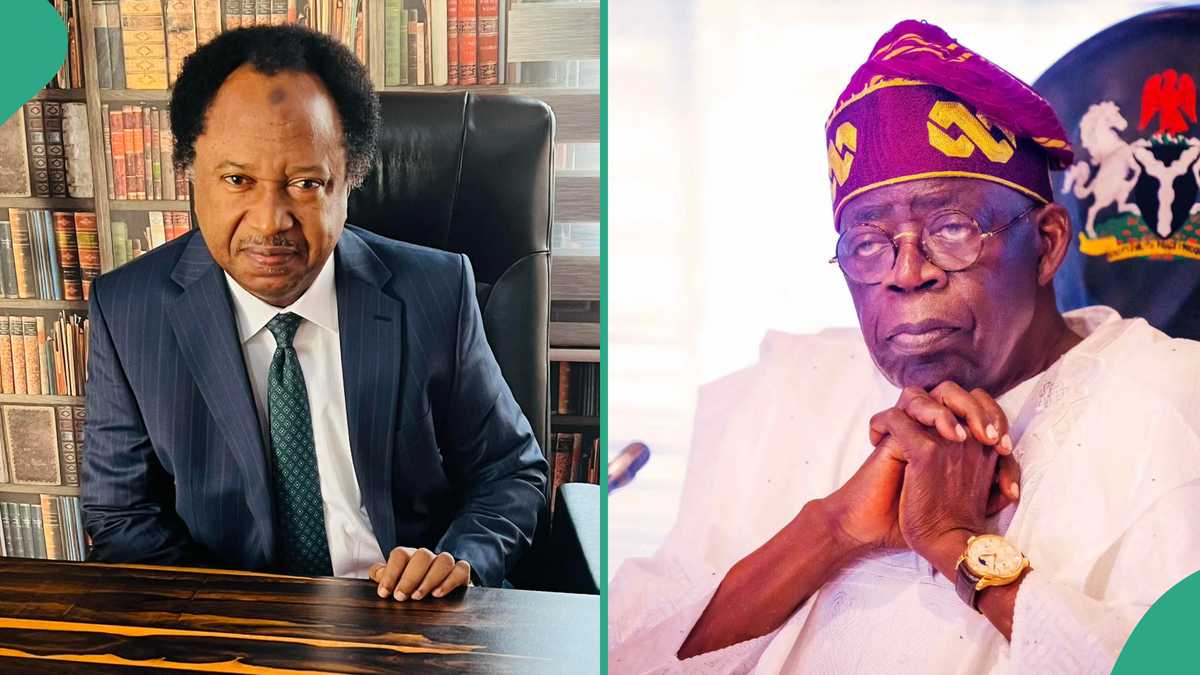 Fuel Hike: Shehu Sani Tells Tinubu What to Do, Insists “Sacrifices Should Not Fall on the Poor”