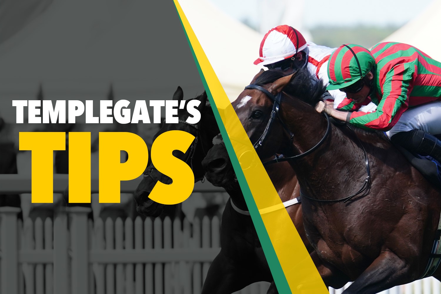 Horse racing tips: Templegate's NAP looks tough to beat off a very appealing mark after narrow defeat