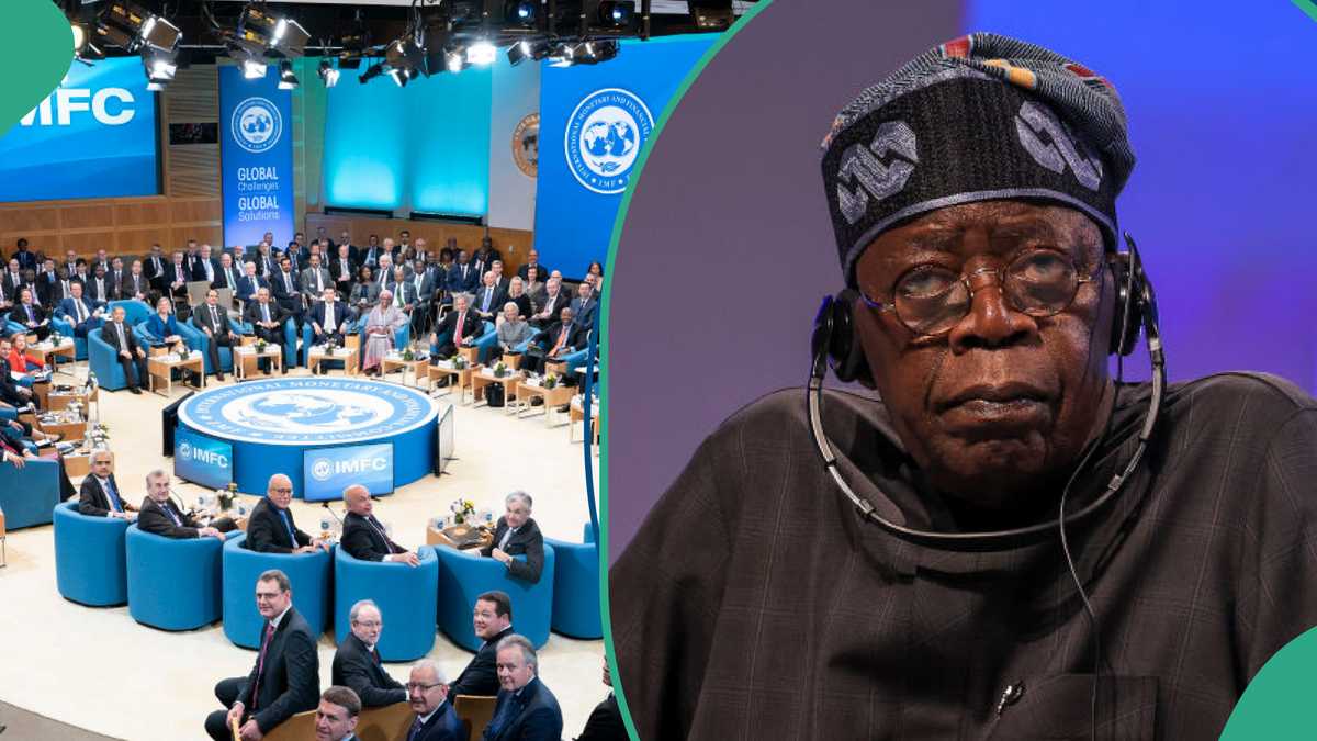 IMF Responds to Claims It Directed President Tinubu To Remove Fuel Subsidy, Devalues Naira