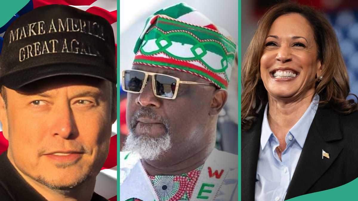 Kamala Harris vs Donald Trump: Dine Melaye Issues 'Threat' to Elon Musk