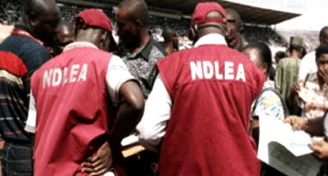 Married women don’t require husband’s approval to travel - NDLEA