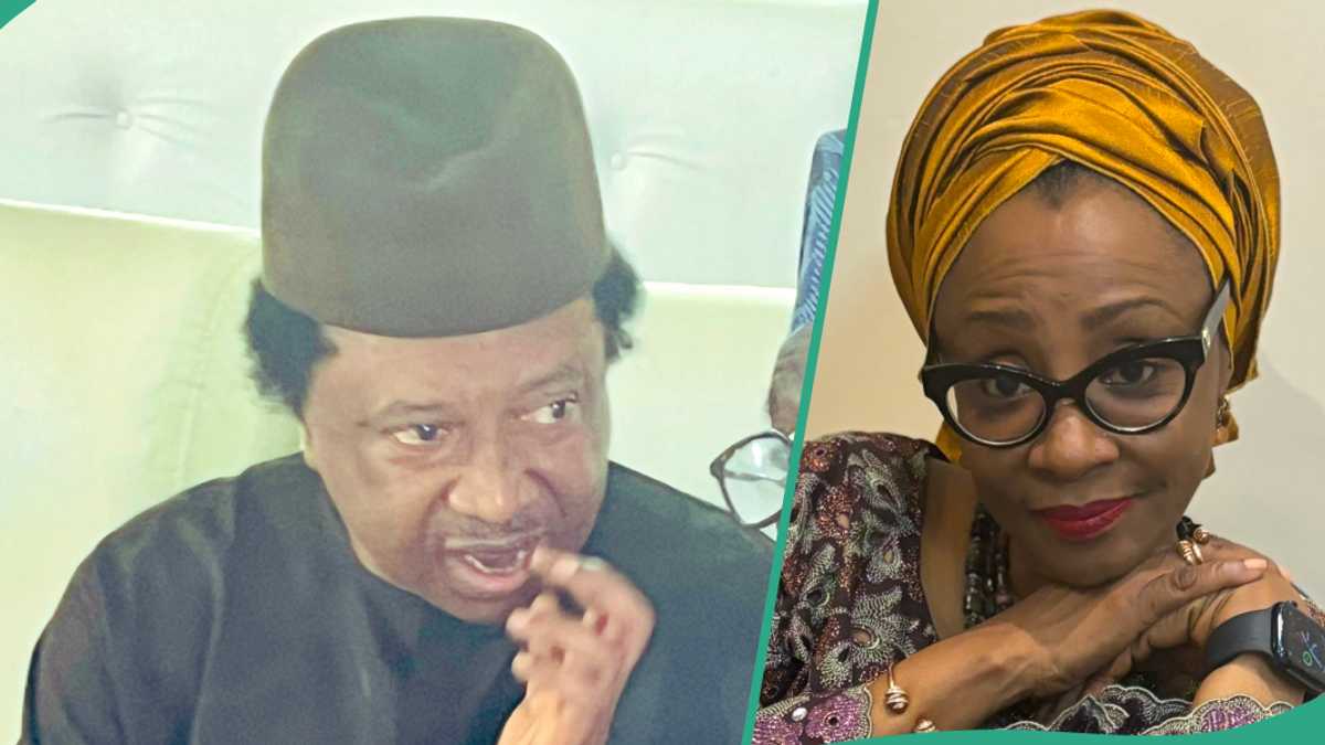 "Mummy Leave Me Alone": Shehu Sani Sends Message to El Rufai's Wife