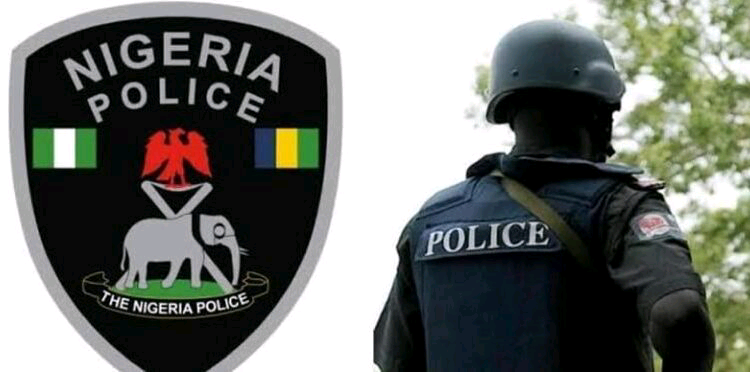 Murder of Enugu-based musician: Inspector found culpable, dismissed – Police